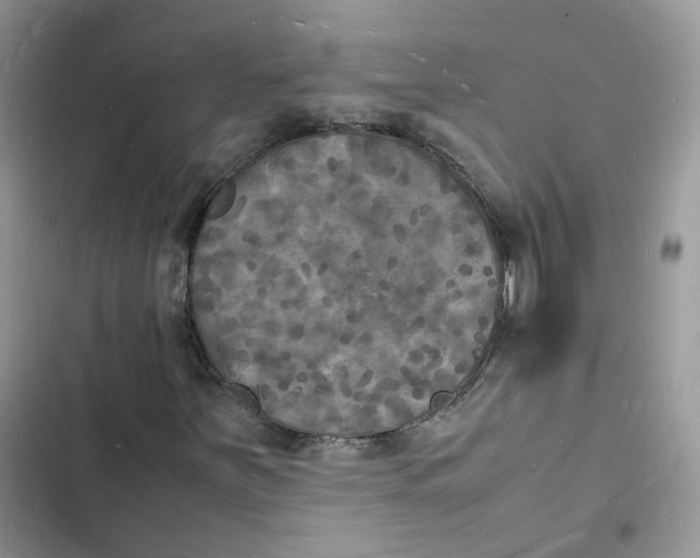 X0000103291251200809191821