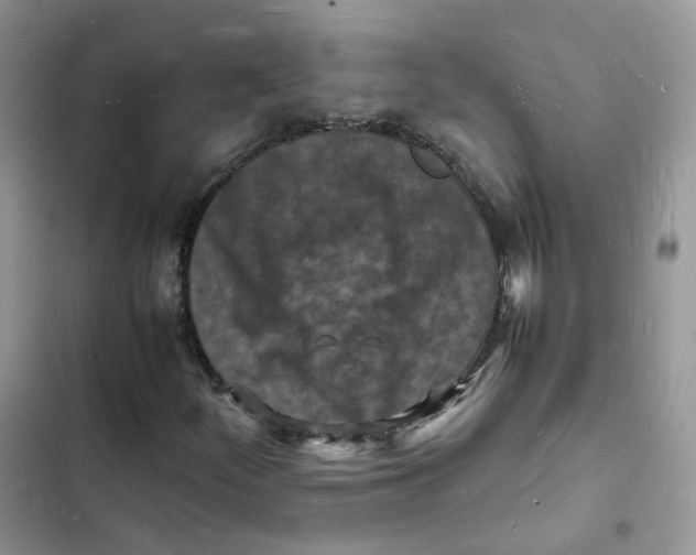 X0000103291252200809191821