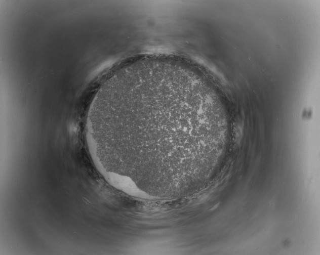 X0000103291254200809191821