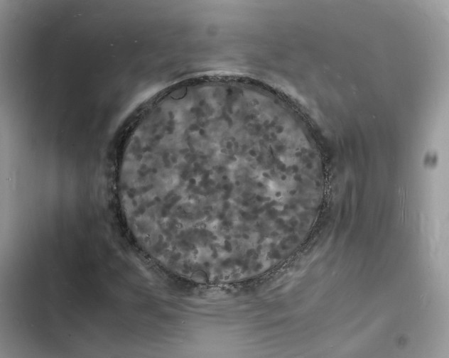 X0000103291255200809191821