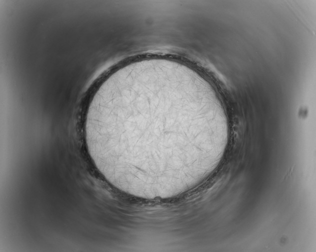 X0000103291256200809191821