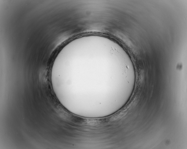 X0000103291258200809191821