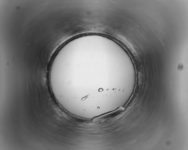 X0000103291260200809191821