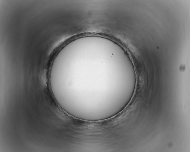 X0000103291262200809191821