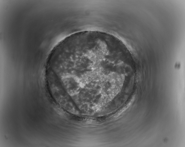 X0000103291263200809191821