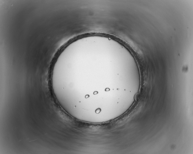 X0000103291264200809191821