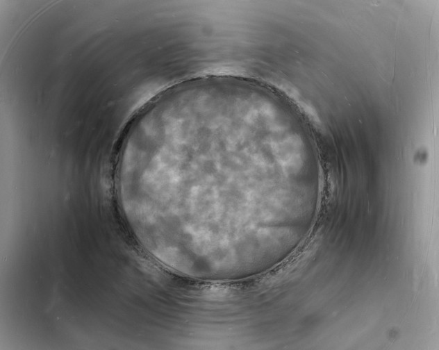 X0000103291266200809191821