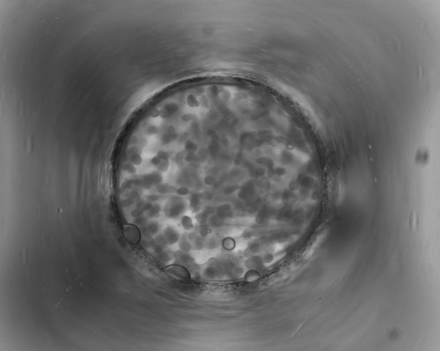 X0000103291267200809191821