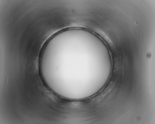 X0000103291268200809191821