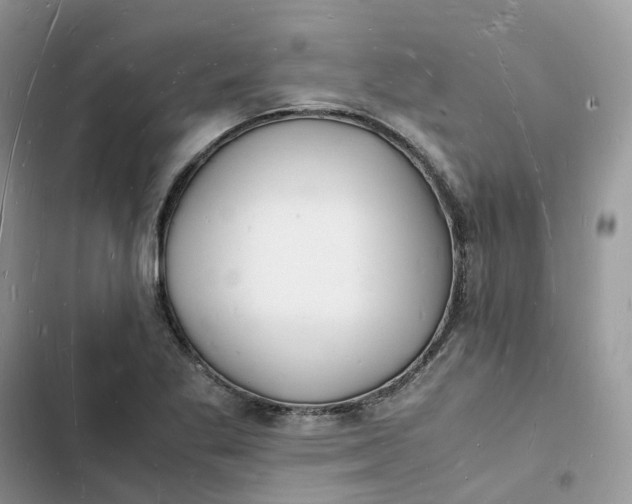 X0000103291269200809191821