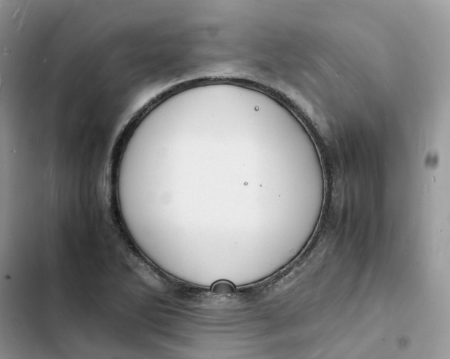 X0000103291270200809191821