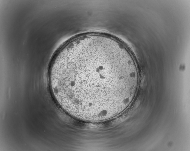 X0000103291271200809191821