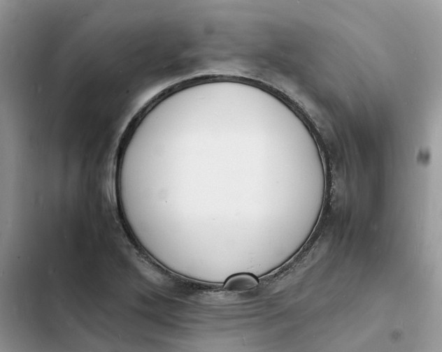 X0000103291272200809191821