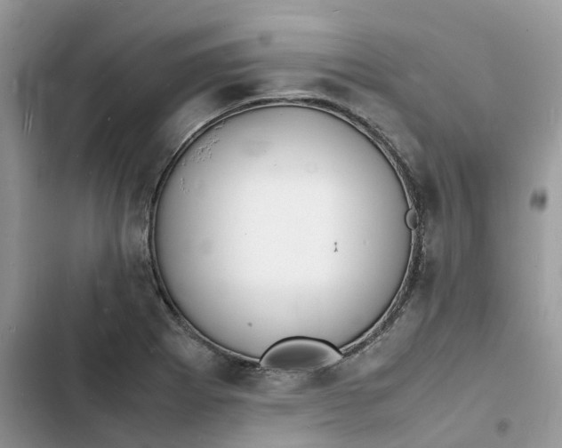 X0000103291273200809191821