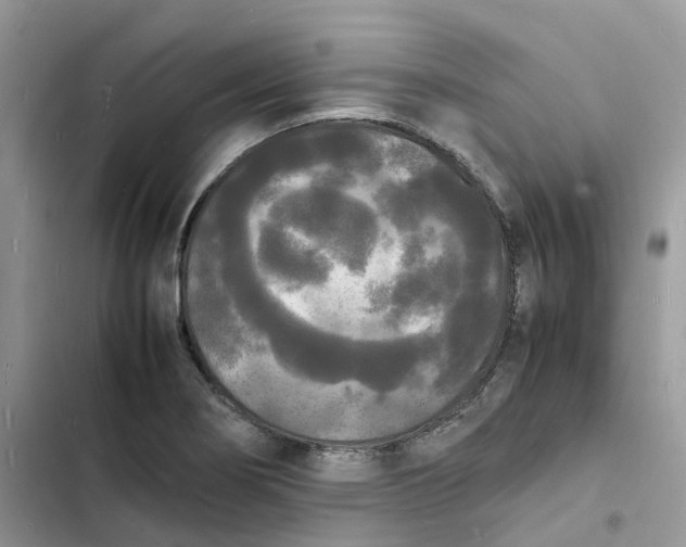 X0000103291274200809191821