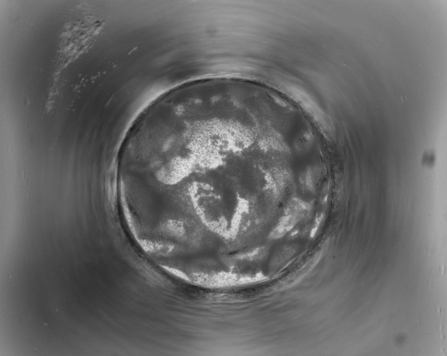 X0000103291275200809191821