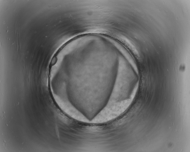 X0000103291276200809191821