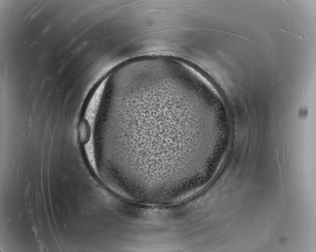 X0000103291277200809191821