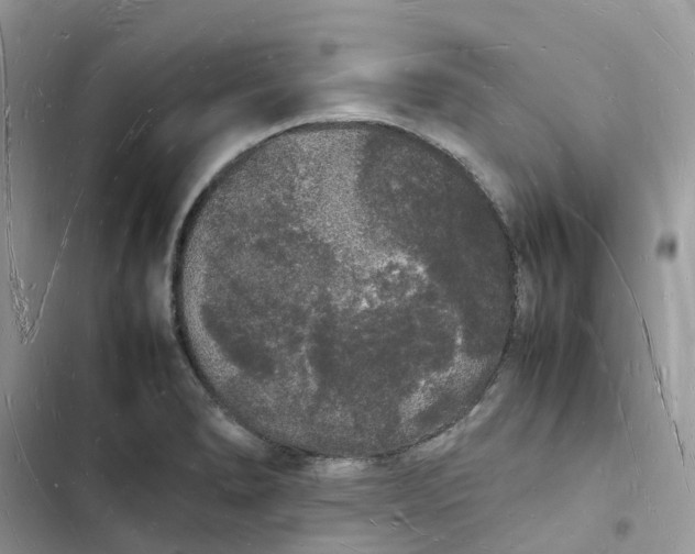 X0000103291278200809191821