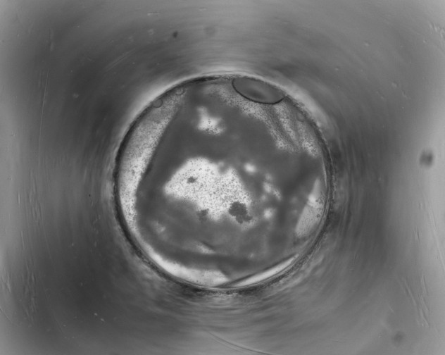 X0000103291279200809191821