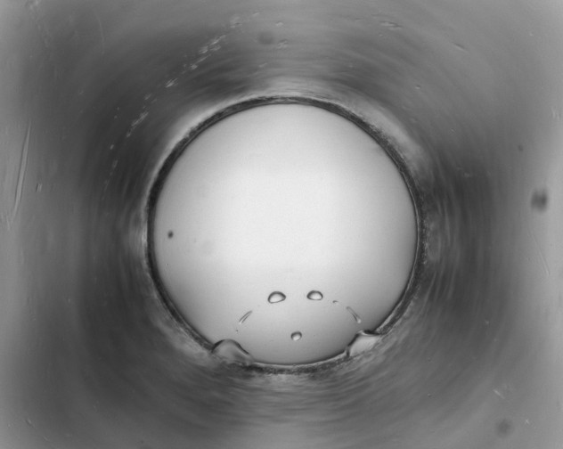 X0000103291280200809191821