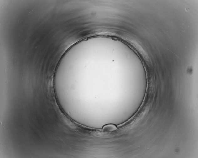 X0000103291281200809191821