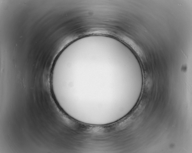 X0000103291282200809191821