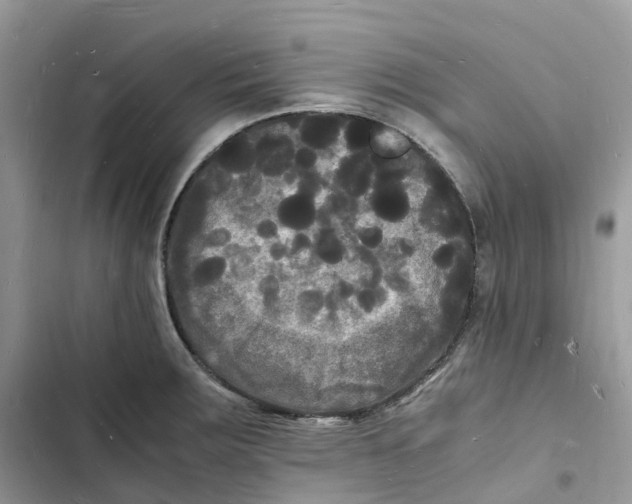 X0000103291283200809191821