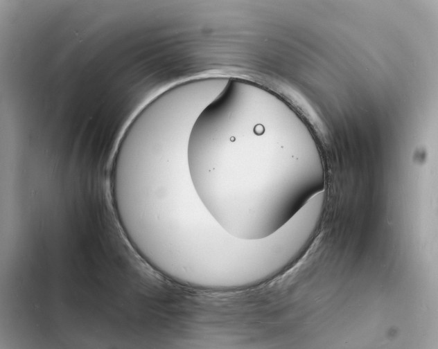 X0000103291284200809191821