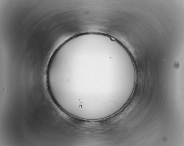 X0000103291285200809191821