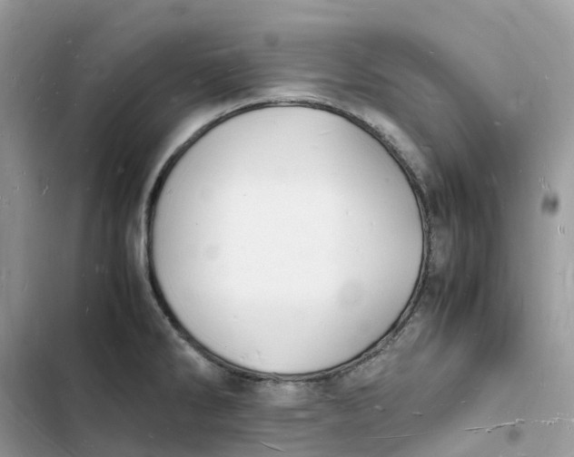 X0000103291286200809191821