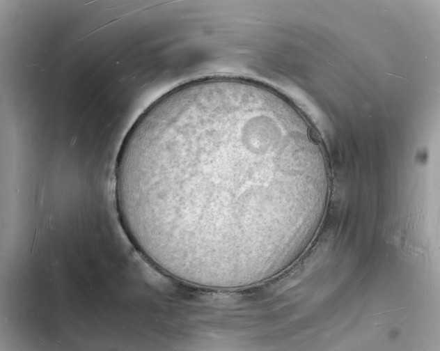 X0000103291287200809191821