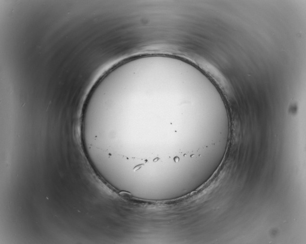 X0000103291288200809191820