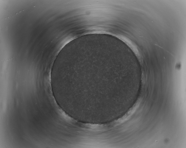 X0000103291289200809191820