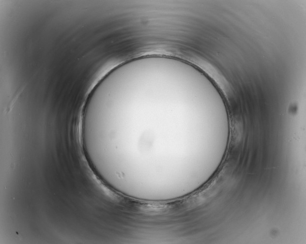 X0000103291290200809191820