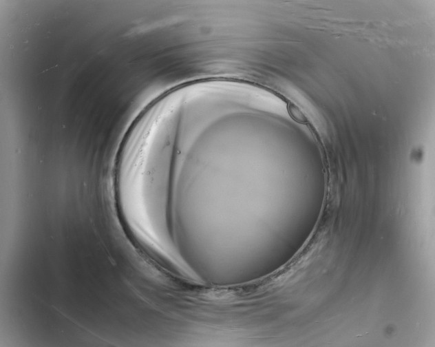 X0000103291291200809191820