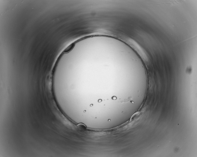 X0000103291292200809191820