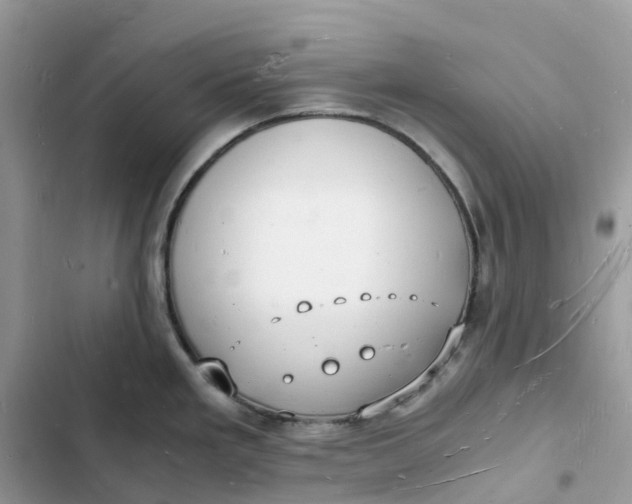 X0000103291293200809191820