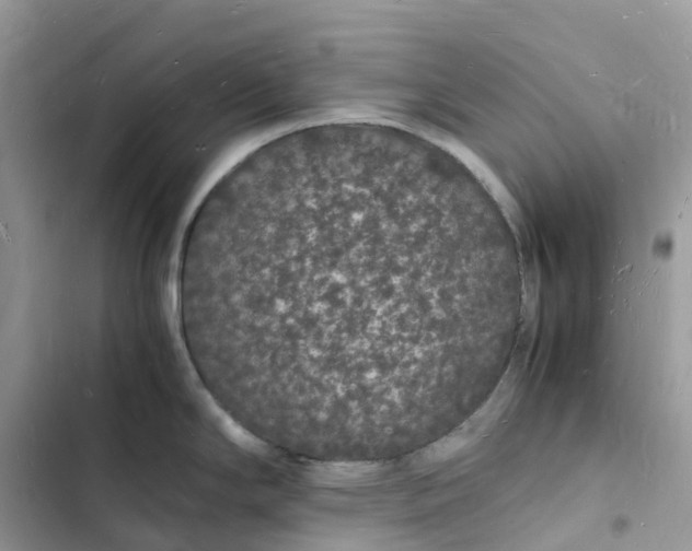 X0000103291294200809191820