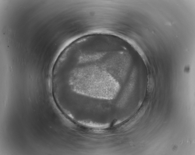 X0000103291295200809191820