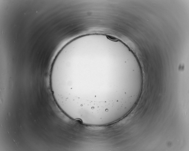 X0000103291296200809191820