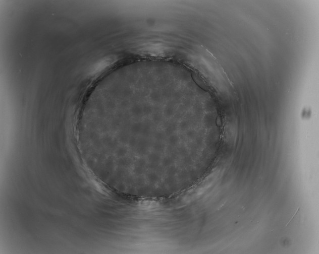 X0000103291297200809191820