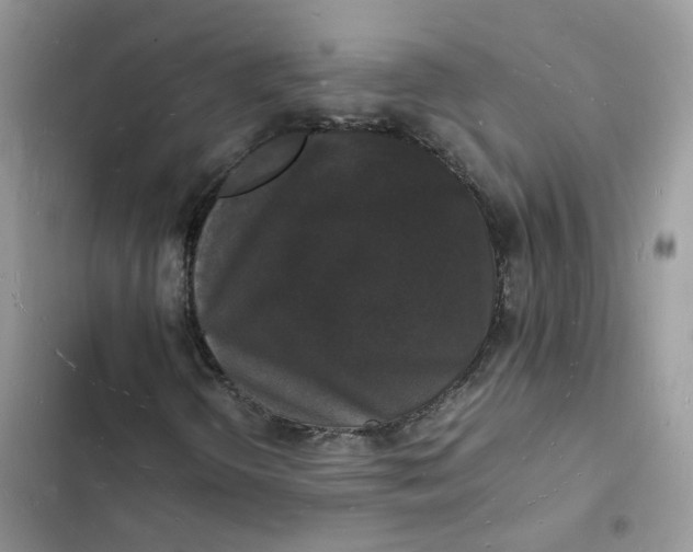 X0000103291298200809191820