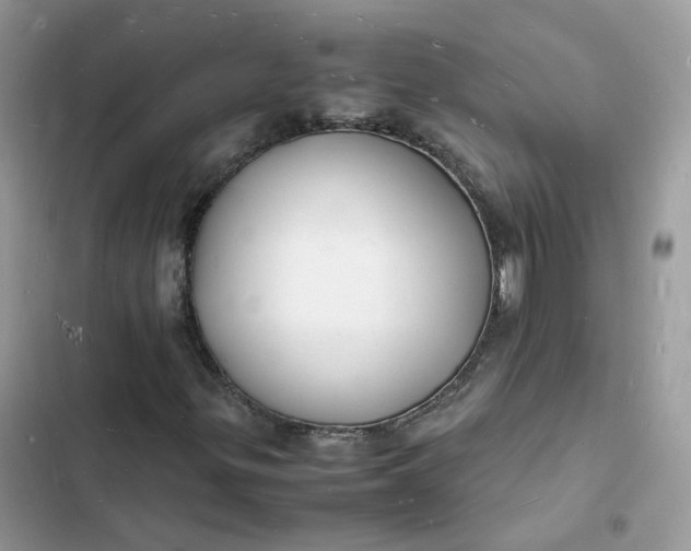 X0000103291299200809191820