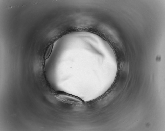 X0000103291300200809191820