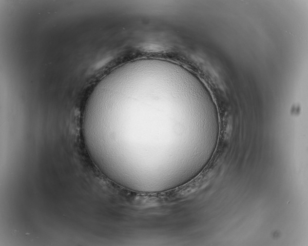 X0000103291301200809191820