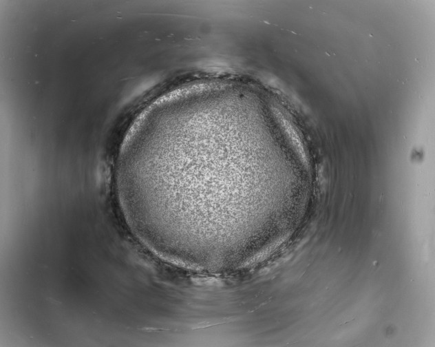 X0000103291302200809191820