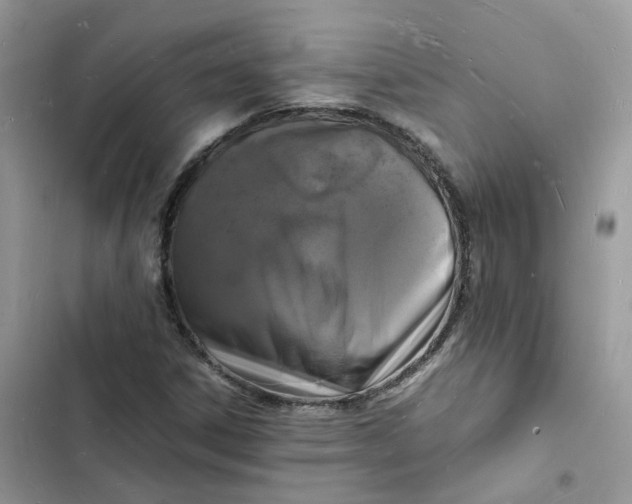 X0000103291306200809191820