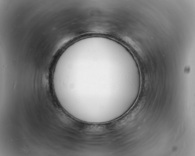 X0000103291307200809191820