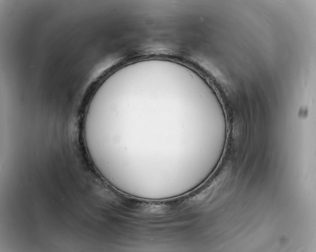 X0000103291309200809191820